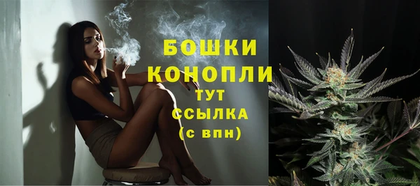 альфа пвп Бородино