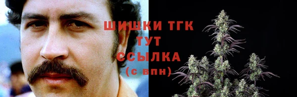 дурь Верхний Тагил