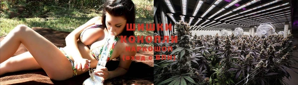 дурь Верхний Тагил