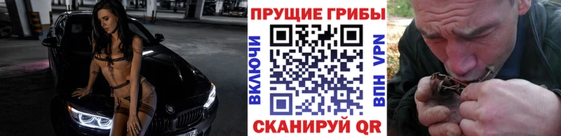 Галлюциногенные грибы Psilocybine cubensis  где найти наркотики  Гаврилов Посад 